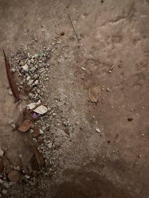 Summer Place Apartments