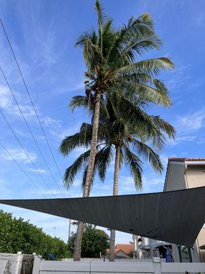 G&B Landscaping and Tree Services