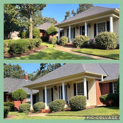 Aguilar Lawn & Landscape