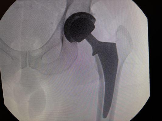 Michael Feldstein, MD