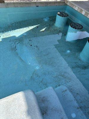 Pool Service Gilbert