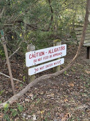 Brazos Bend State Park