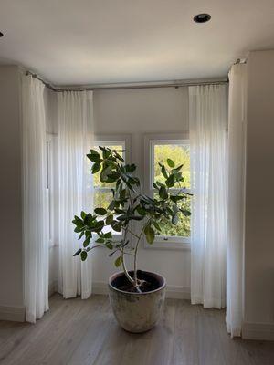 Sheer drapes with decorative drapery hardware