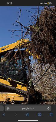 Ackley Tree Specialists