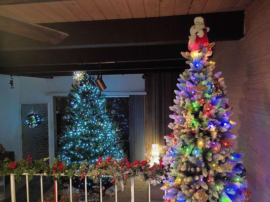 The real deal Dan's along with an artificial.