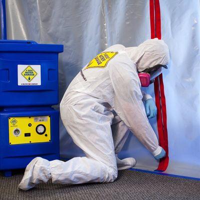 1-800 WATER DAMAGE NJ - Mold Damage, Assessment, Testing, Mold Removal, Mold Remediation Services