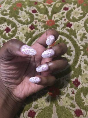 Sns nails with nail art