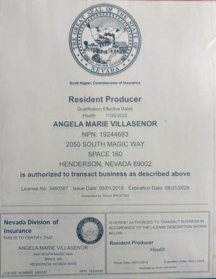 Nevada license
