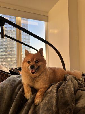 Amazing experience at home