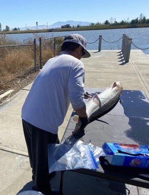 Bend UR Rod SportFishing