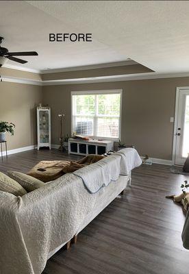 Bright Brush Painting