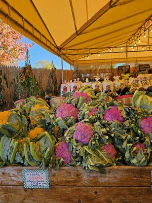 Sound Shore Farms & Market