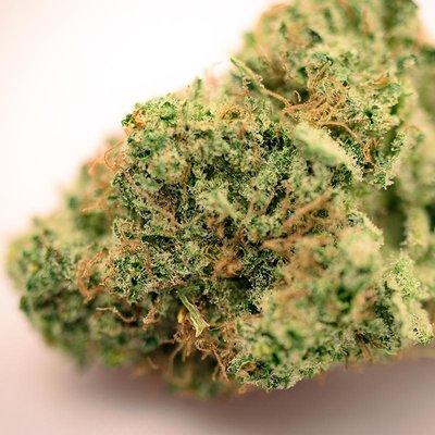 $25.00 1/8th Specials!