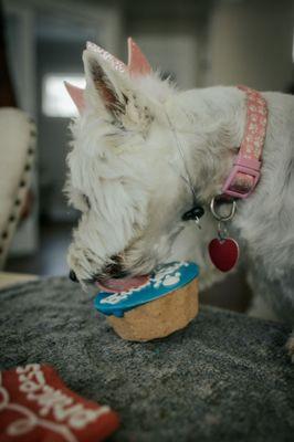 Princess Matilda approves!