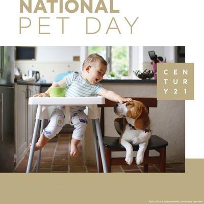 Tamara Willis Real Estate