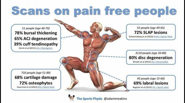 Sports Physical Therapy - Everett