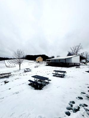 Le Petit Chevalier Vineyards and Farm Winery