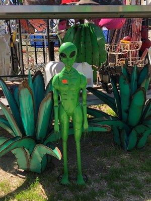 Alston's Old Home Place