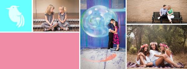 Bug and Bird Photography