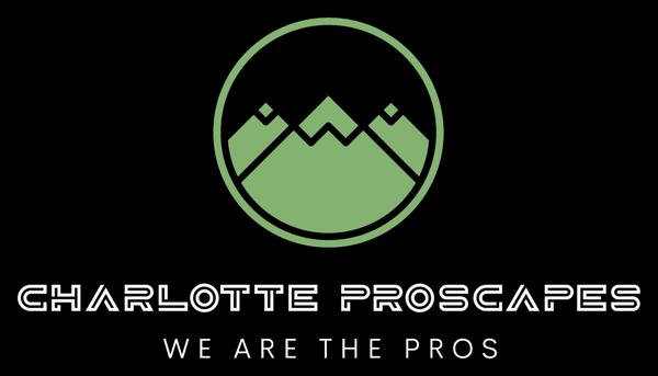 Charlotte Proscapes