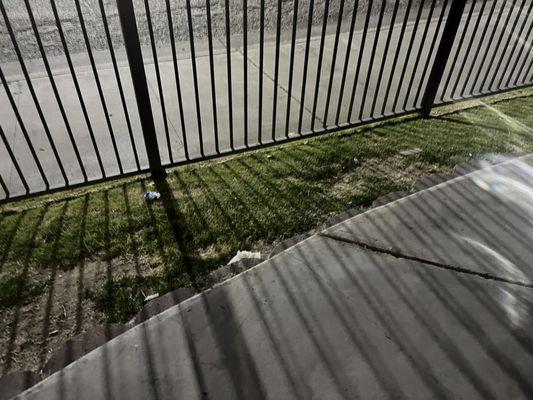 Used foils and dog poop