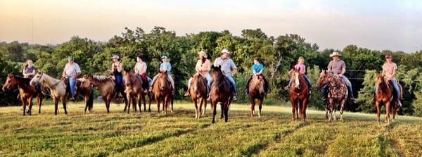 Texas Livestock Rentals