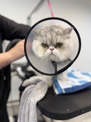 Kray just posing for the camera