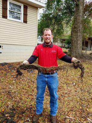 Drain Pro Sewer Service