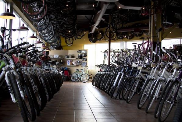 Bicycle Hangar