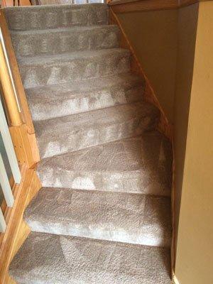 Altra Pro Carpet Cleaning