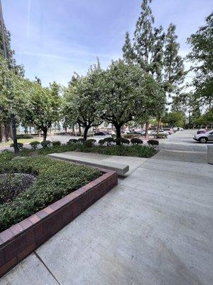 Bank of America Mortgage