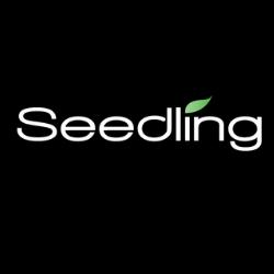 Seedling