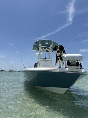 Kevin’s Marine Detailing