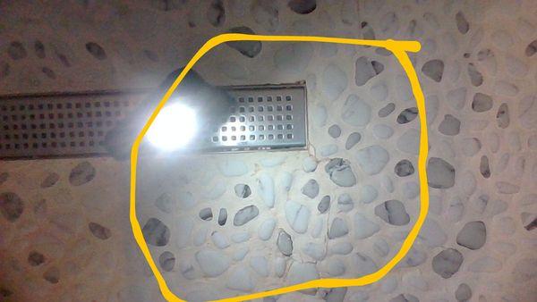 Carolina Builder Services