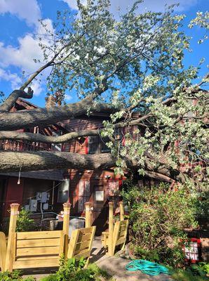 Joseph's Landscape Tree Service