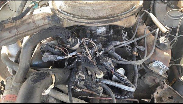 Electric Auto Brothers