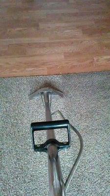 Dirty Carpet? No Problem!