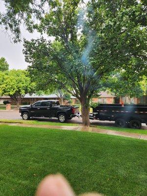 T Lawn Maintenance &Tree Services