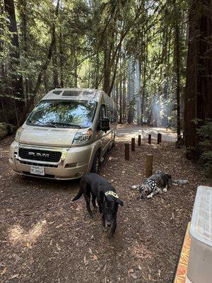 Schoolhouse Canyon Campground