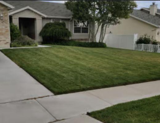 Everyday Lawn Solutions