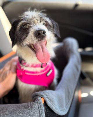 A New Life Charitable Foundation