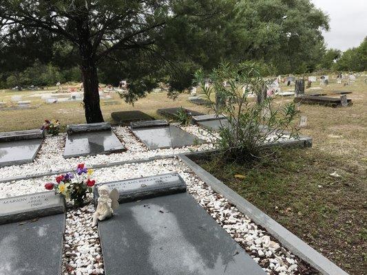 New raised bed concrete plots