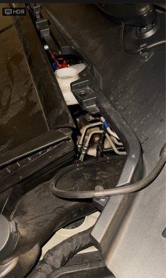 Tesla trapped a kitten in our Model Y frunk!