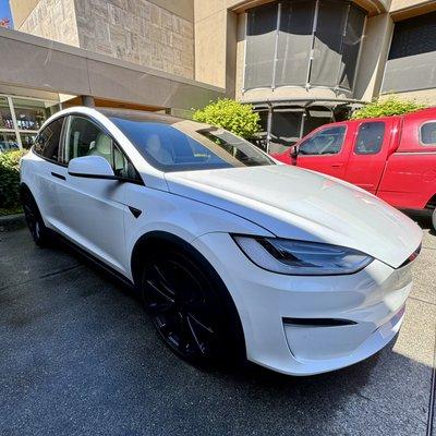 Detail on a Model X Plaid.