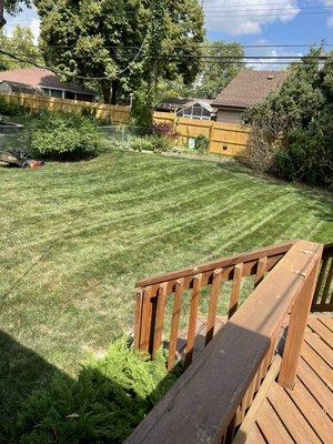 The Right Stripes Lawn Care & Snow Removal