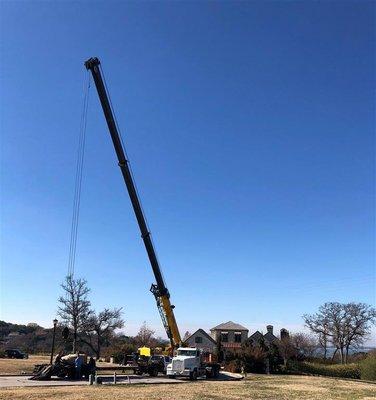 Picture Perfect Lawn and Landscape