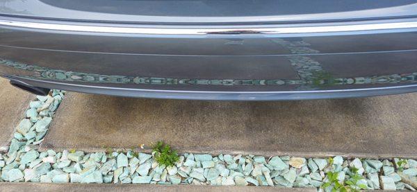 Rear bumper did not want to include tag but quality work.