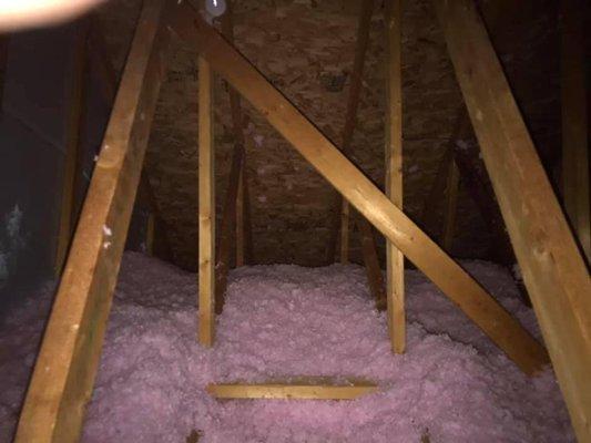 Critter Inspector Removal and Repair