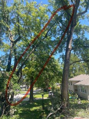 Peña's Tree Services