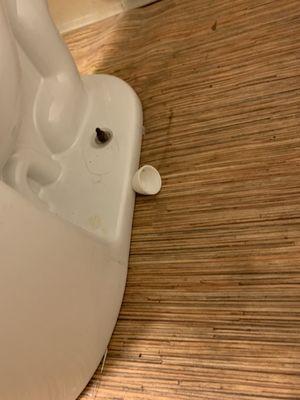 Dirty soggy floor next to the toilet.